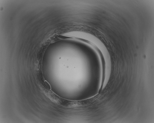 X0000082740750200702091903