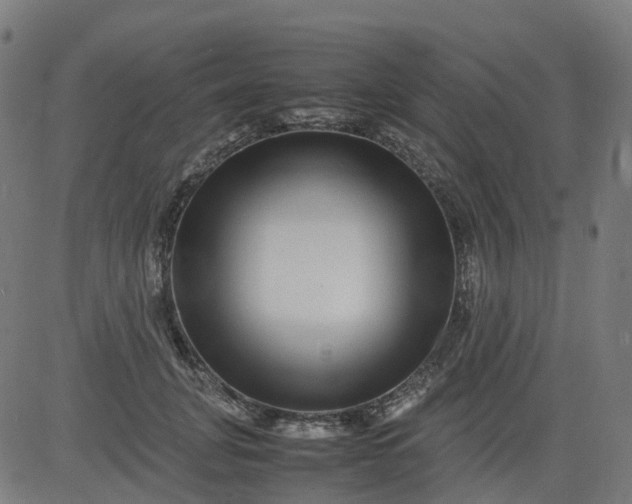 X0000082740751200702091903