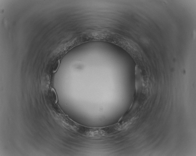 X0000082740752200702091903