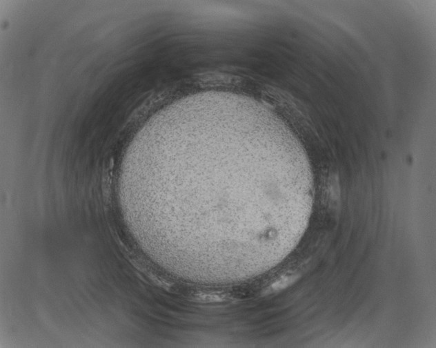 X0000082740753200702091903