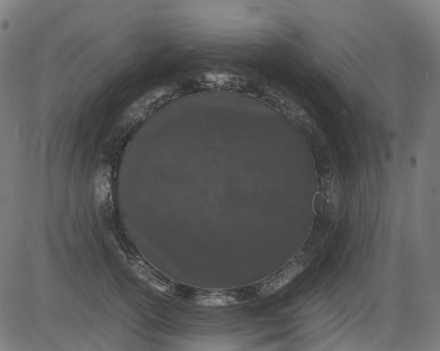 X0000082740754200702091903