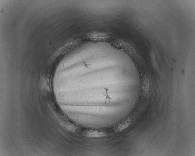 X0000082740755200702091903