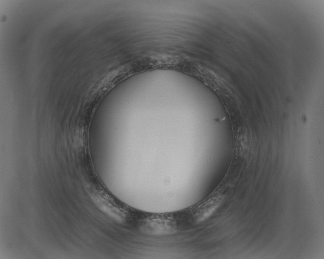 X0000082740756200702091903