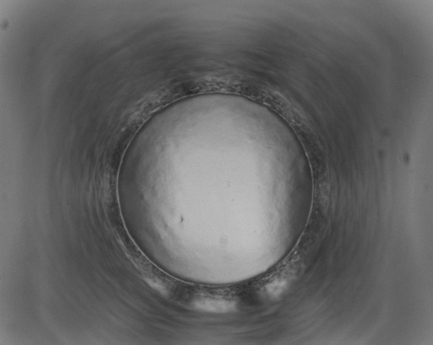 X0000082740757200702091903