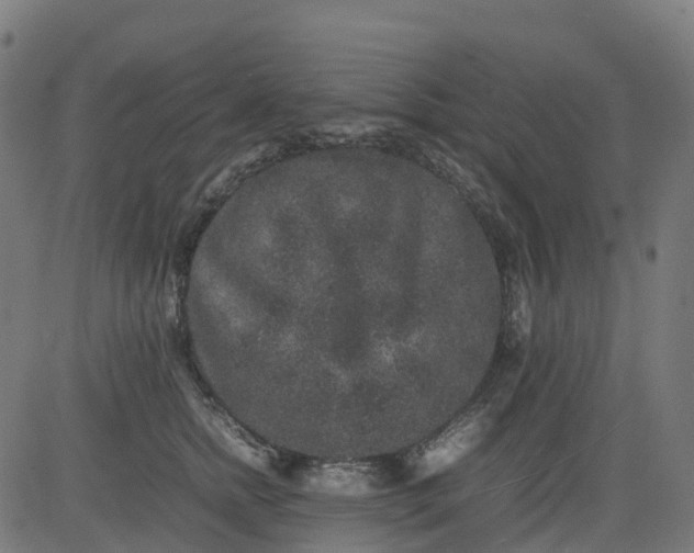 X0000082740758200702091903