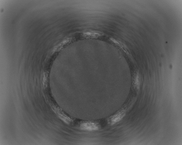 X0000082740759200702091903