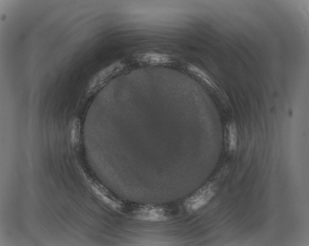 X0000082740760200702091903