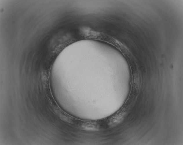 X0000082740761200702091903