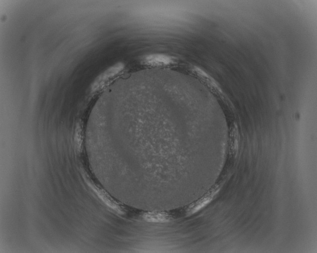 X0000082740762200702091903