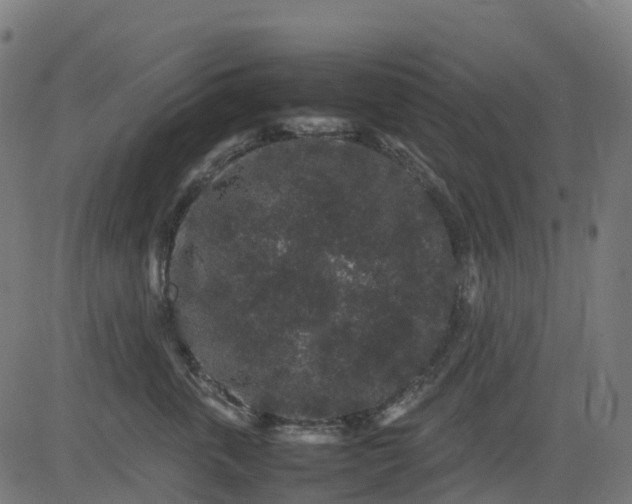 X0000082740763200702091903