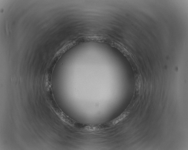 X0000082740764200702091903