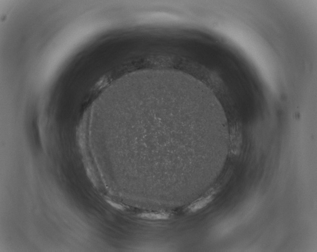 X0000082740765200702091903