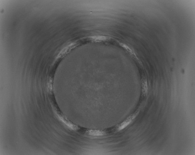 X0000082740766200702091903