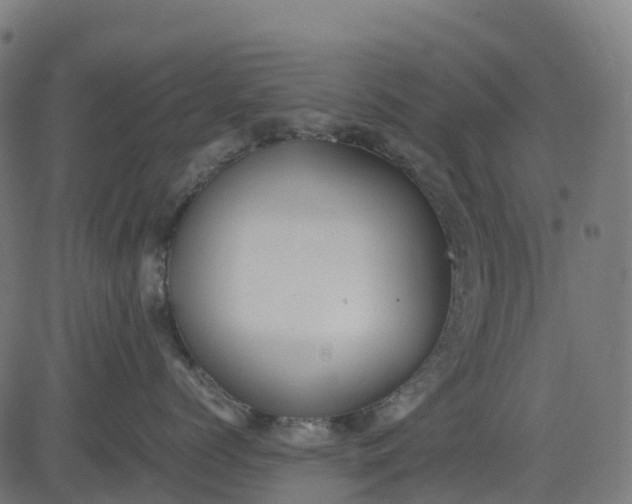 X0000082740768200702091903