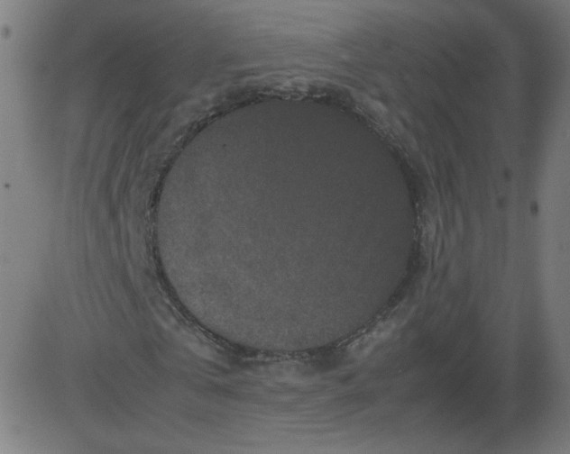 X0000082740769200702091902