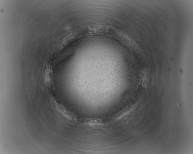 X0000082740770200702091902