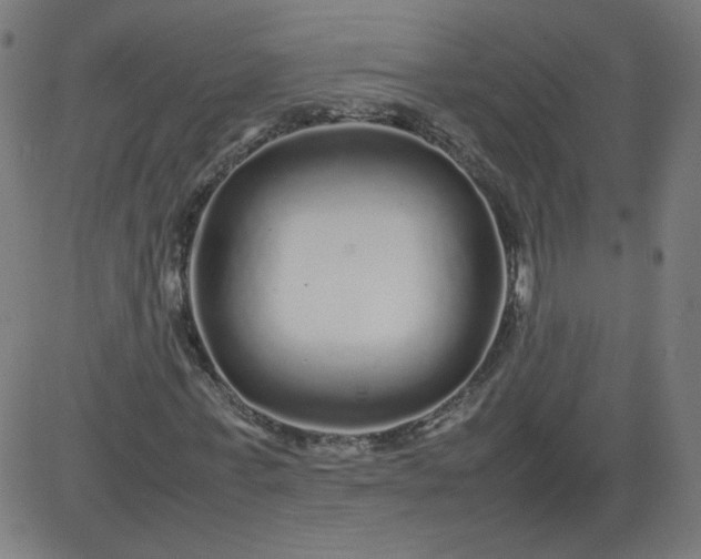 X0000082740771200702091902