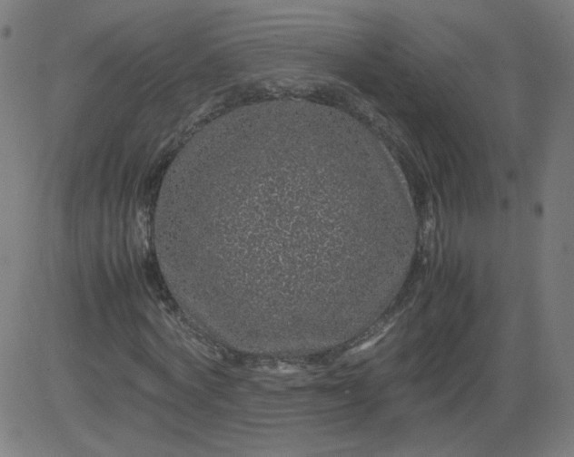 X0000082740772200702091902