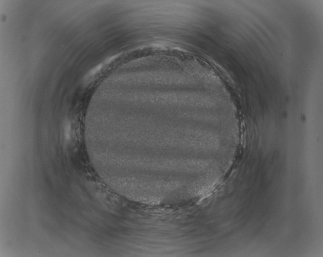 X0000082740776200702091902