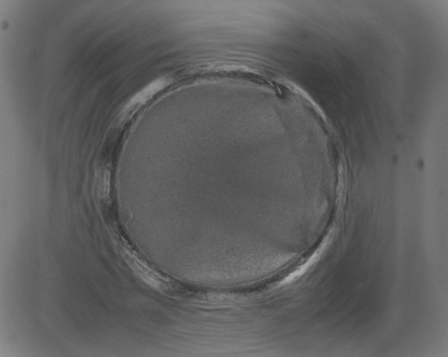 X0000082740777200702091902