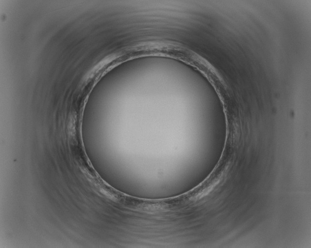 X0000082740778200702091902