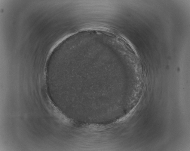 X0000082740779200702091902