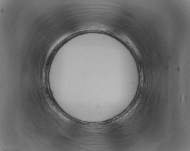 X0000082740780200702091902