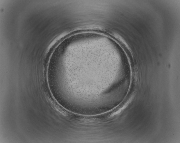 X0000082740781200702091902