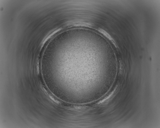 X0000082740782200702091902