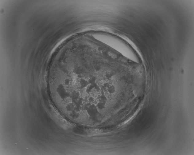 X0000082740783200702091902