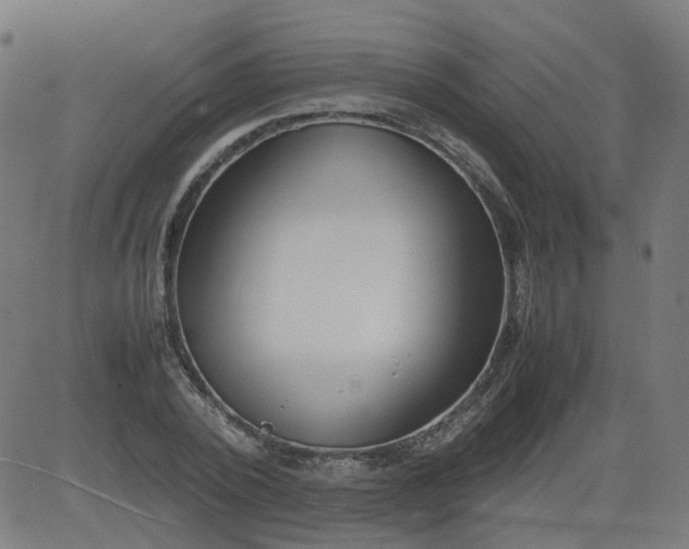 X0000082740784200702091902