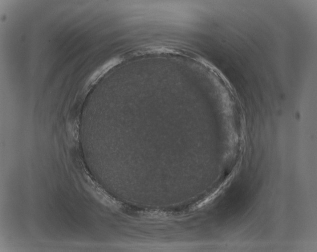 X0000082740785200702091902