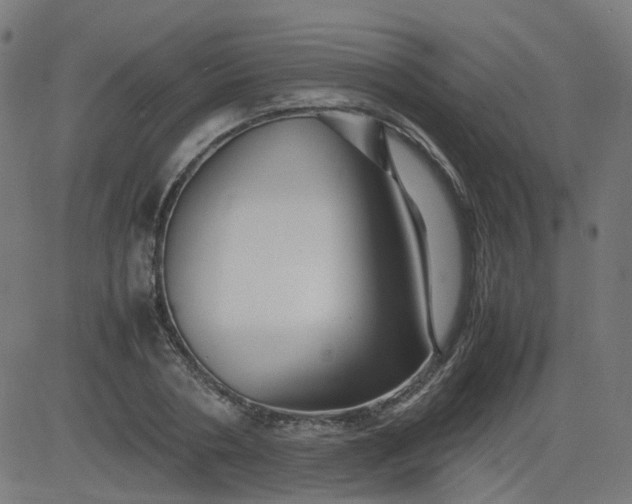 X0000082740786200702091902