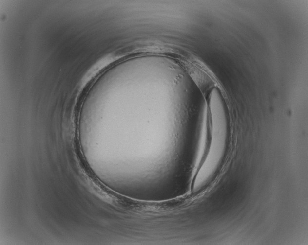 X0000082740787200702091902