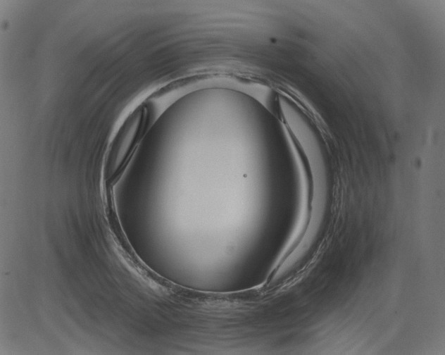 X0000082740788200702091902