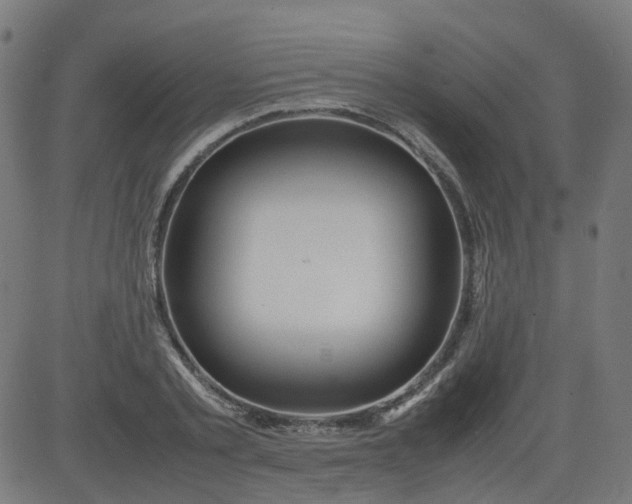 X0000082740789200702091902