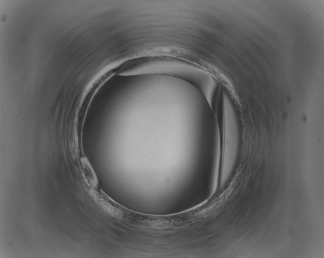 X0000082740792200702091902