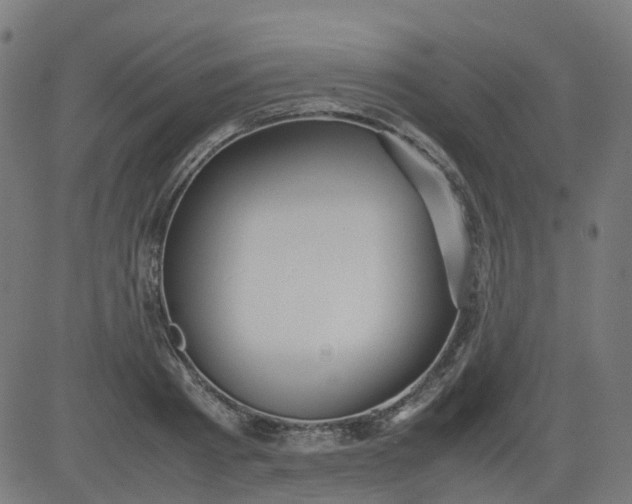 X0000082740793200702091902