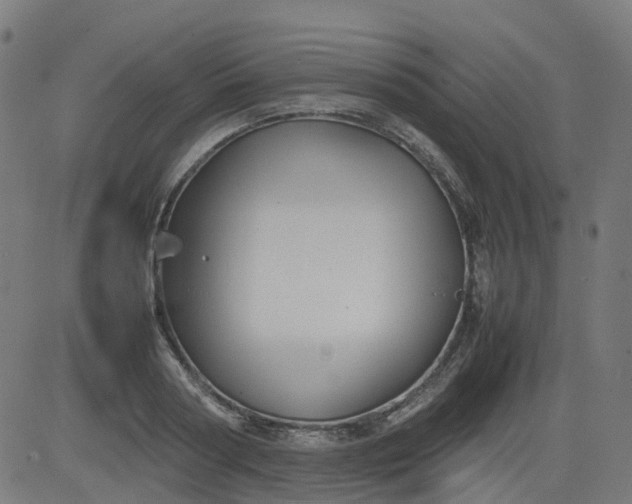 X0000082740794200702091902