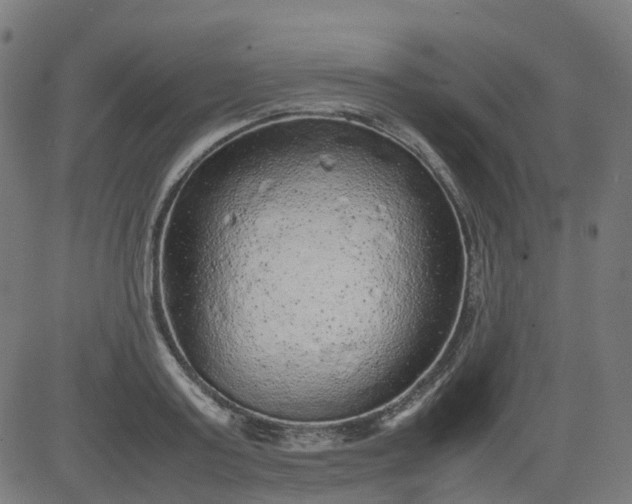 X0000082740795200702091902