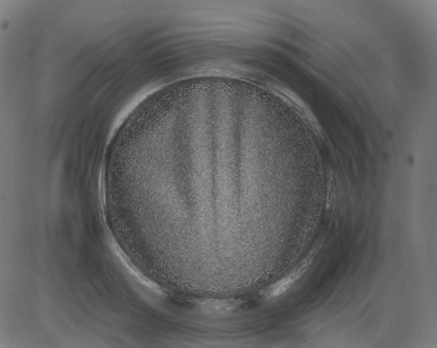 X0000082740796200702091902