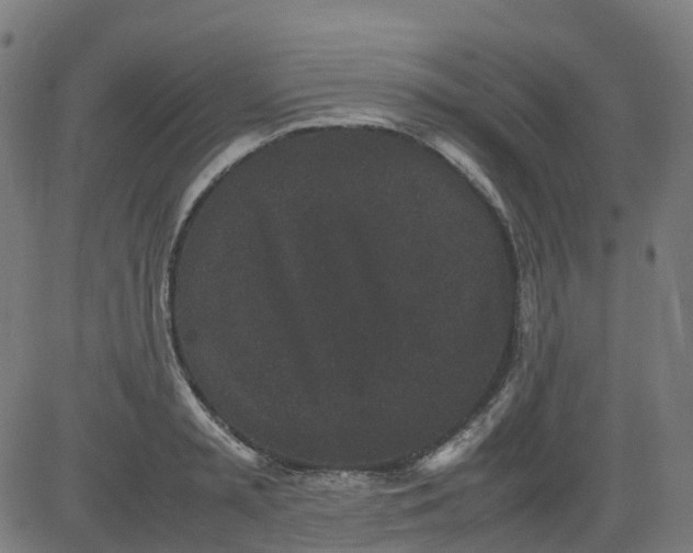 X0000082740797200702091902