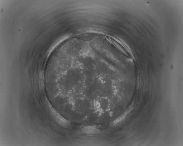 X0000082740798200702091902