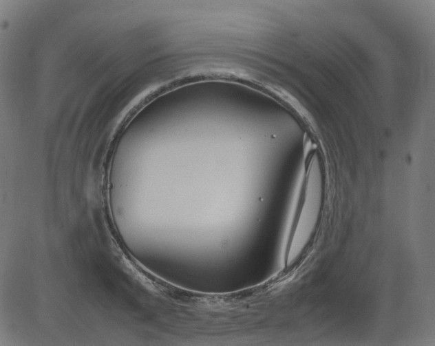 X0000082740799200702091902