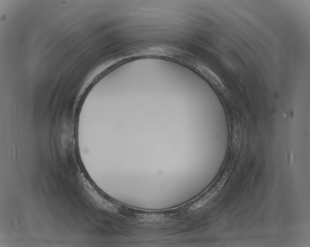 X0000082740800200702091902