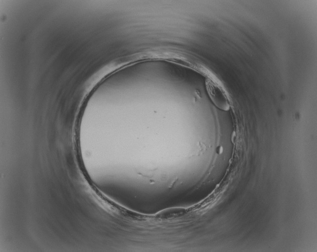 X0000082740803200702091902