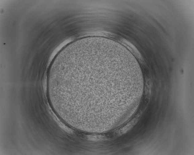 X0000082740804200702091902