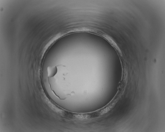 X0000082740805200702091902