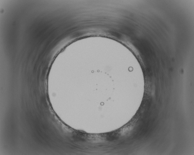 X0000082740807200702091902