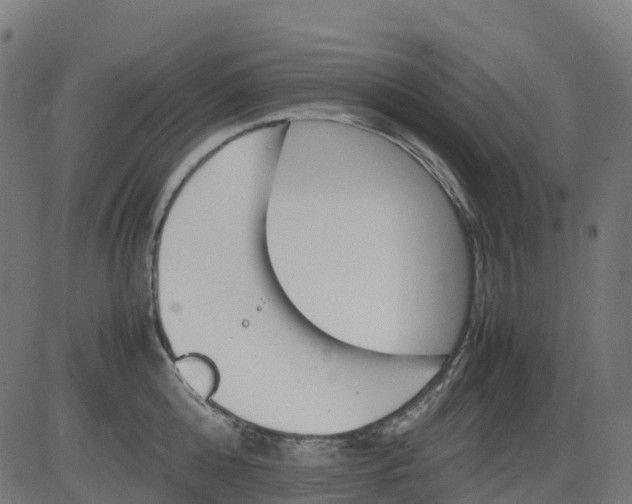 X0000082740808200702091902